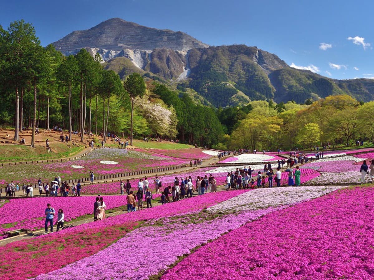 埼玉県秩父市-コンパニオン宴会スポットランキング３位は秩父温泉